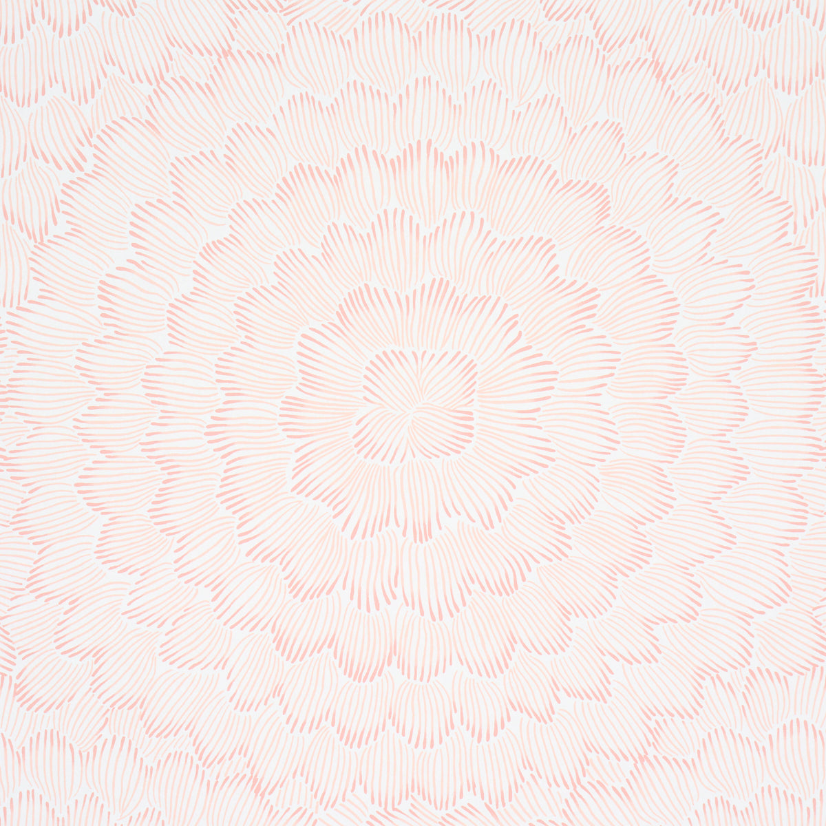 Purchase 5013823 | Feather Bloom, Salmon - Schumacher Wallpaper