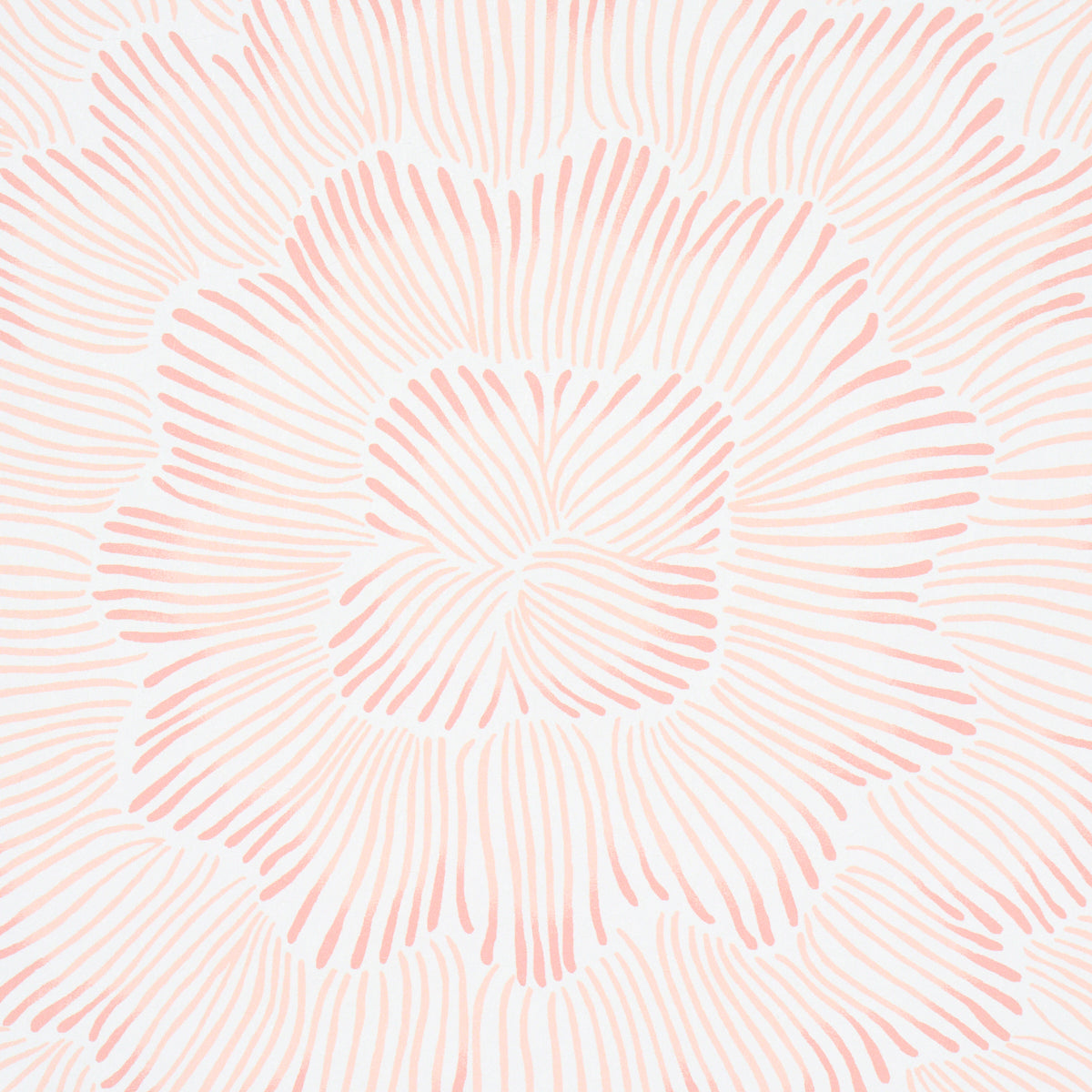 Purchase 5013823 | Feather Bloom, Salmon - Schumacher Wallpaper