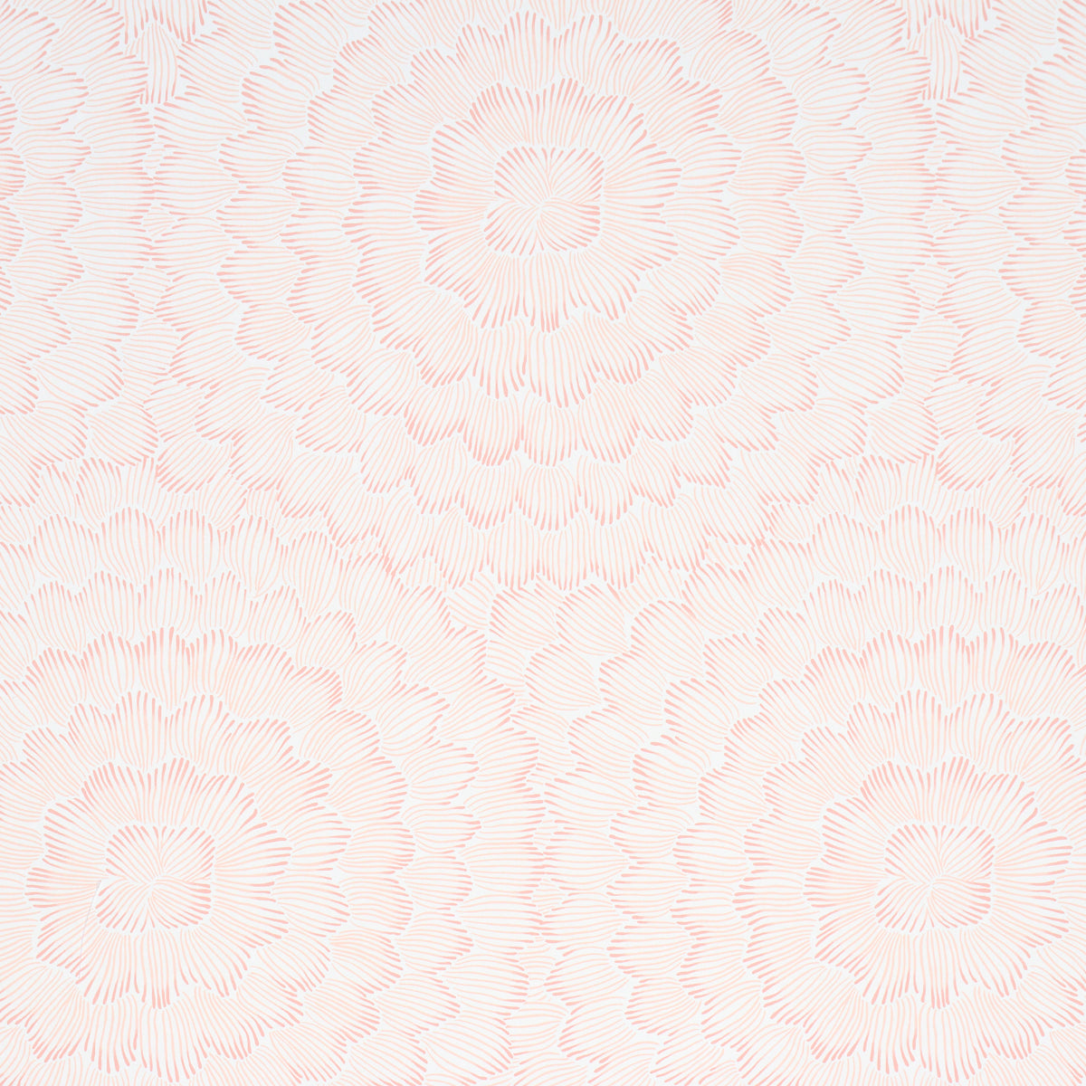 Purchase 5013823 | Feather Bloom, Salmon - Schumacher Wallpaper