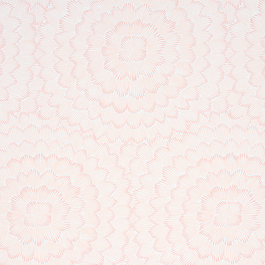 Purchase 5013823 | Feather Bloom, Salmon - Schumacher Wallpaper