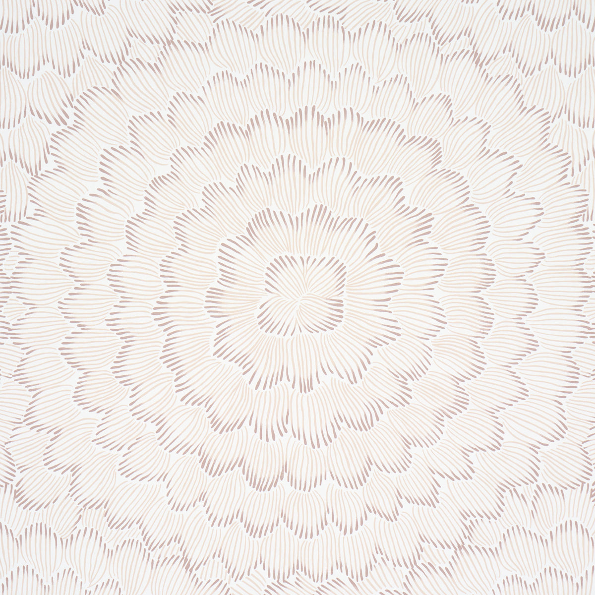 Purchase 5013824 | Feather Bloom, Chai - Schumacher Wallpaper