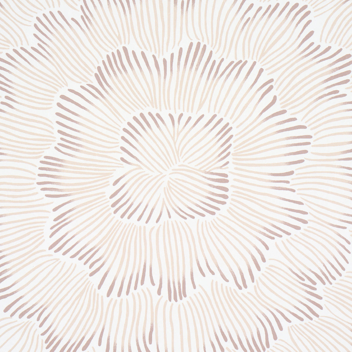 Purchase 5013824 | Feather Bloom, Chai - Schumacher Wallpaper
