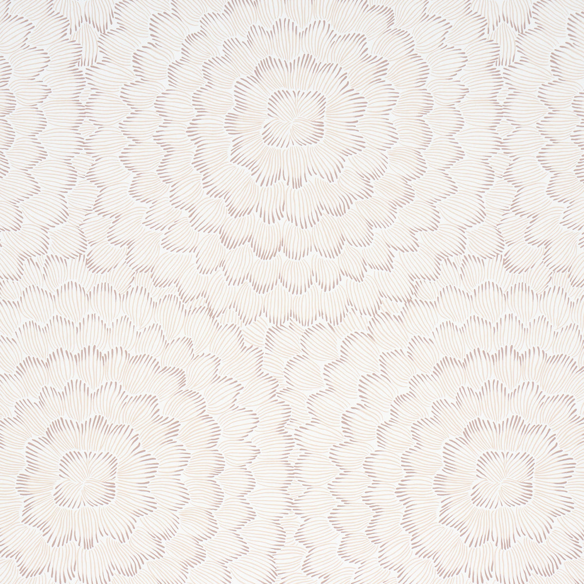 Purchase 5013824 | Feather Bloom, Chai - Schumacher Wallpaper