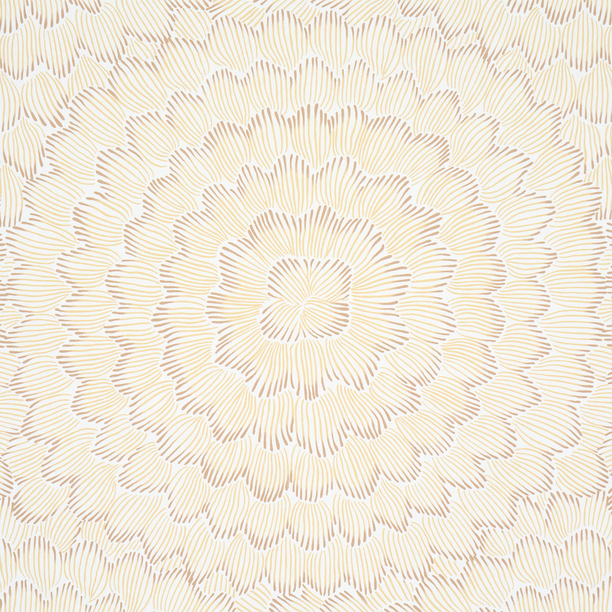 Purchase 5013825 | Feather Bloom, Mustard - Schumacher Wallpaper