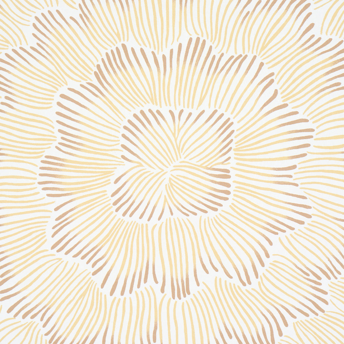 Purchase 5013825 | Feather Bloom, Mustard - Schumacher Wallpaper