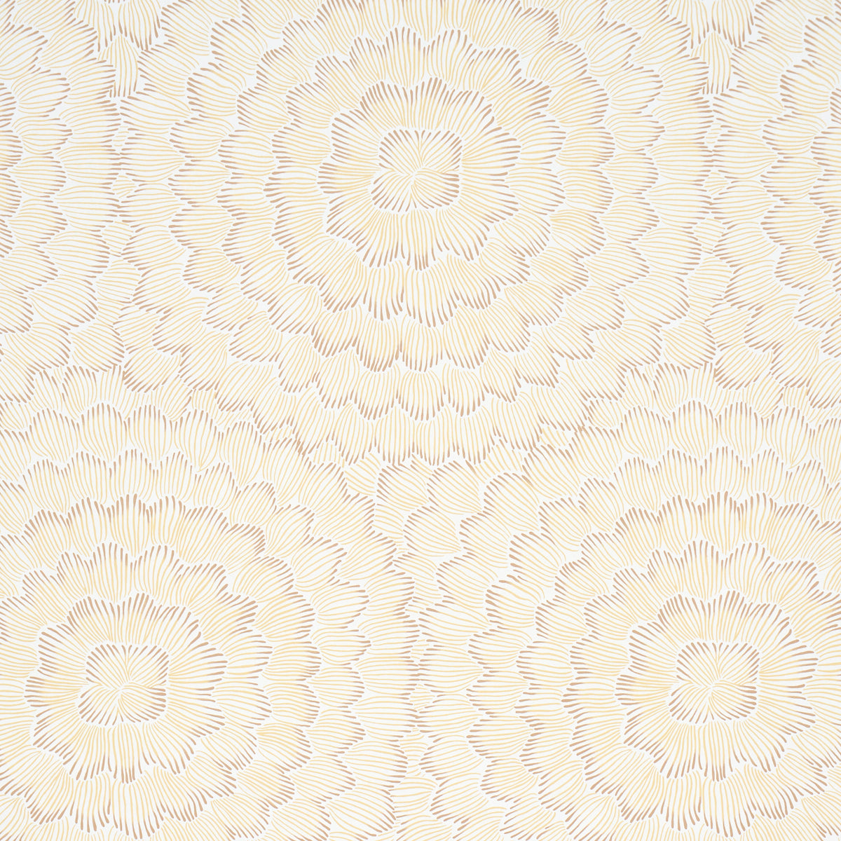 Purchase 5013825 | Feather Bloom, Mustard - Schumacher Wallpaper