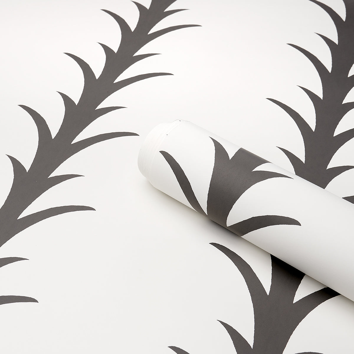 Purchase 5014773 | Acanthus Stripe, Carbon On Ivory - Schumacher Wallpaper