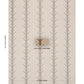 Purchase 5014774 | Acanthus Stripe, Brown On Beige - Schumacher Wallpaper