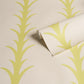Purchase 5014775 | Acanthus Stripe, Soleil On Sand - Schumacher Wallpaper