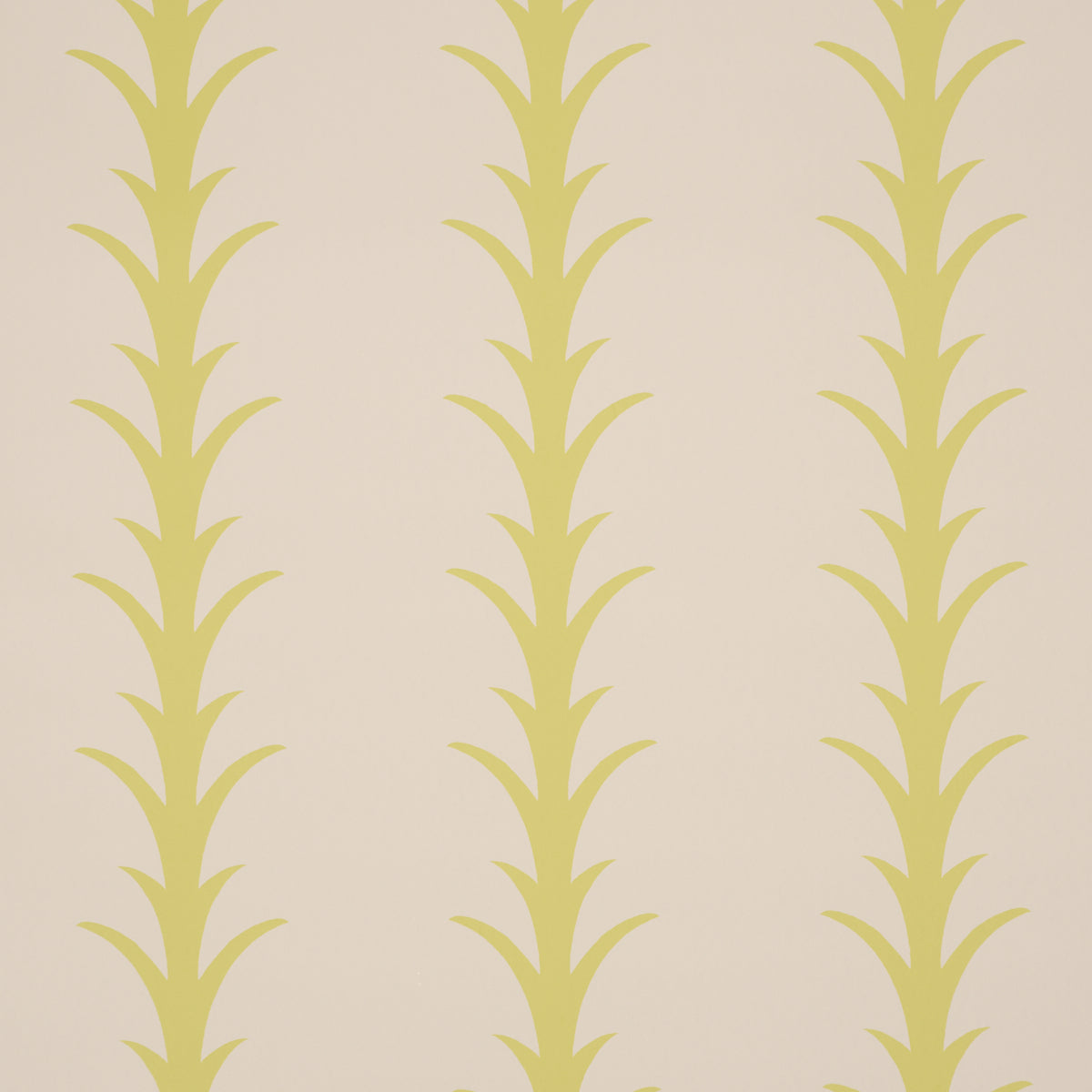 Purchase 5014775 | Acanthus Stripe, Soleil On Sand - Schumacher Wallpaper