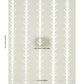 Purchase 5014776 | Acanthus Stripe, Metallic On Sage - Schumacher Wallpaper