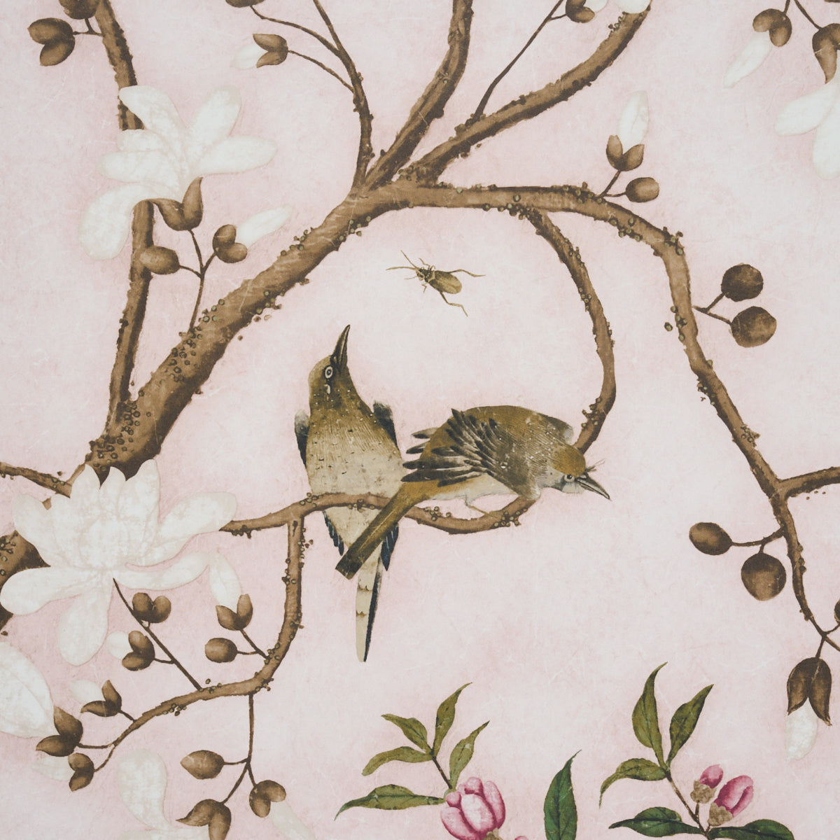 Purchase 5015154 | Les Oiseaux Panel Set, Blush - Schumacher Wallpaper