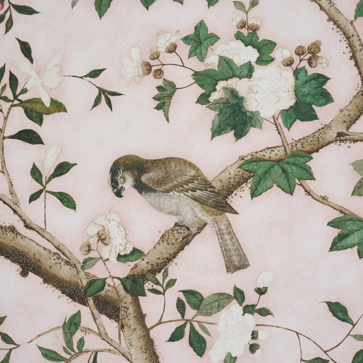 Purchase 5015154 | Les Oiseaux Panel Set, Blush - Schumacher Wallpaper