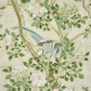 Purchase 5015155 | Les Oiseaux Panel Set, Parchment - Schumacher Wallpaper