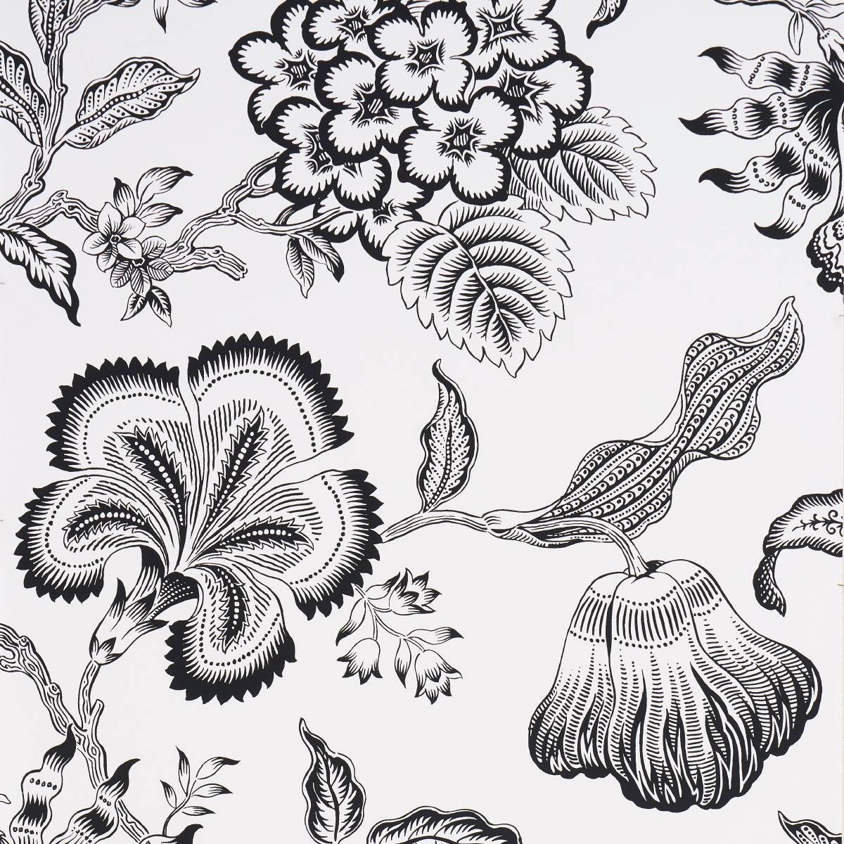 Purchase 5015323 | Hothouse Flowers Silhouette, Black And White - Schumacher Wallpaper