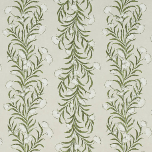 Purchase 5015362 | Tasmanian Mimosa, Ivory & Green - Schumacher Wallpaper