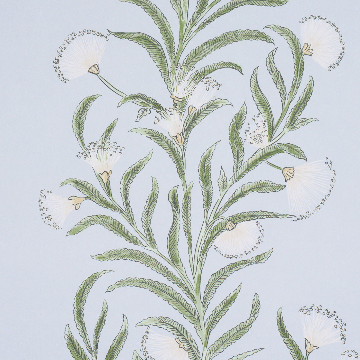 Purchase 5015363 | Tasmanian Mimosa, Sky - Schumacher Wallpaper