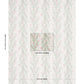Purchase 5015364 | Tasmanian Mimosa, Petal - Schumacher Wallpaper