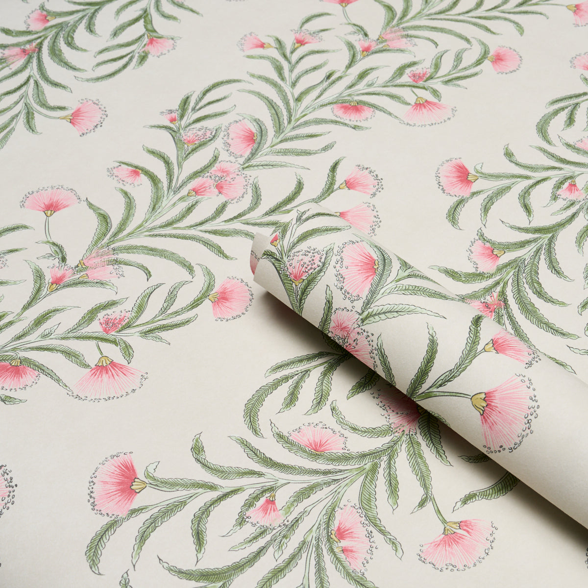 Purchase 5015364 | Tasmanian Mimosa, Petal - Schumacher Wallpaper