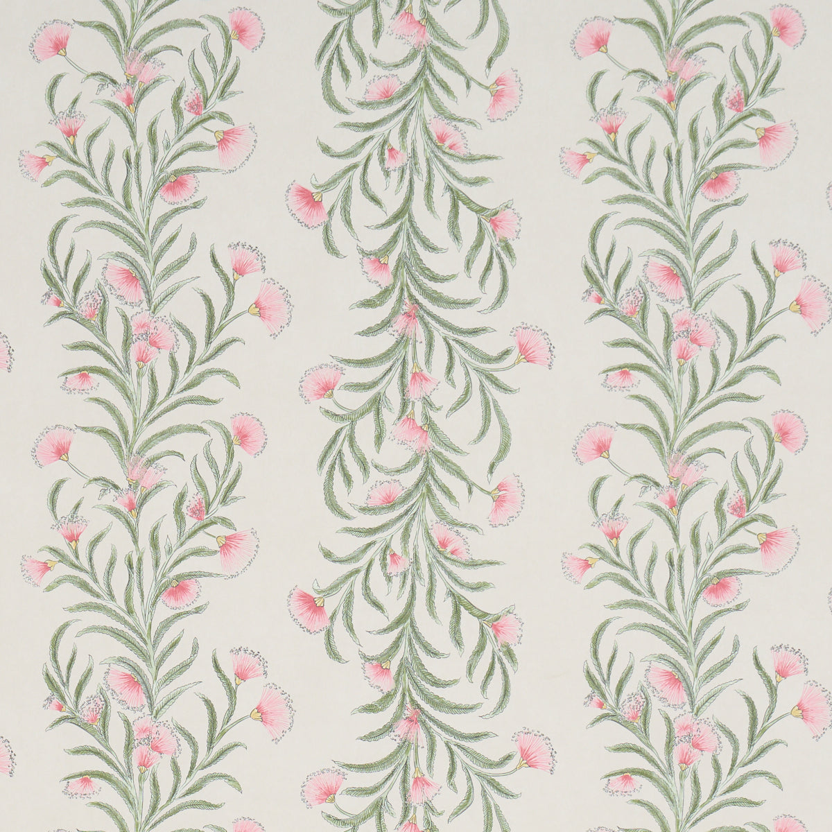 Purchase 5015364 | Tasmanian Mimosa, Petal - Schumacher Wallpaper
