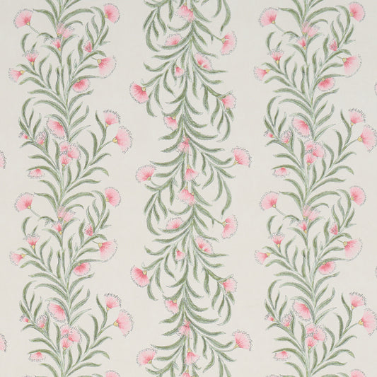 Purchase 5015364 | Tasmanian Mimosa, Petal - Schumacher Wallpaper