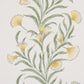 Purchase 5015365 | Tasmanian Mimosa, Marigold - Schumacher Wallpaper