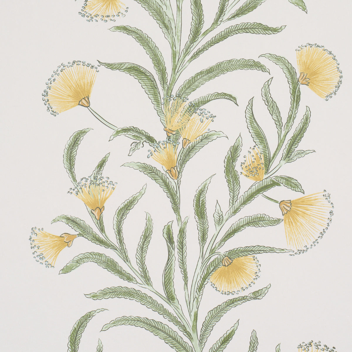 Purchase 5015365 | Tasmanian Mimosa, Marigold - Schumacher Wallpaper