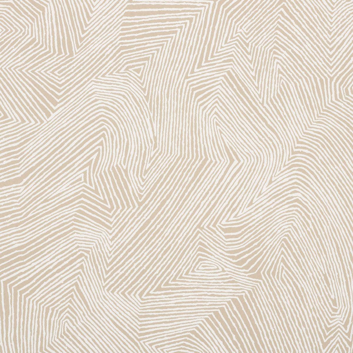 Purchase 5015430 | Labyrinth Grand, Dune - Schumacher Wallpaper