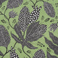 Purchase 5015460 | Polka Dot Jungle, Black & Green - Schumacher Wallpaper