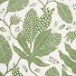 Purchase 5015463 | Polka Dot Jungle, Green & Ivory - Schumacher Wallpaper