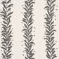 Purchase 5015490 | Tendril Stripe, Black & Cream - Schumacher Wallpaper