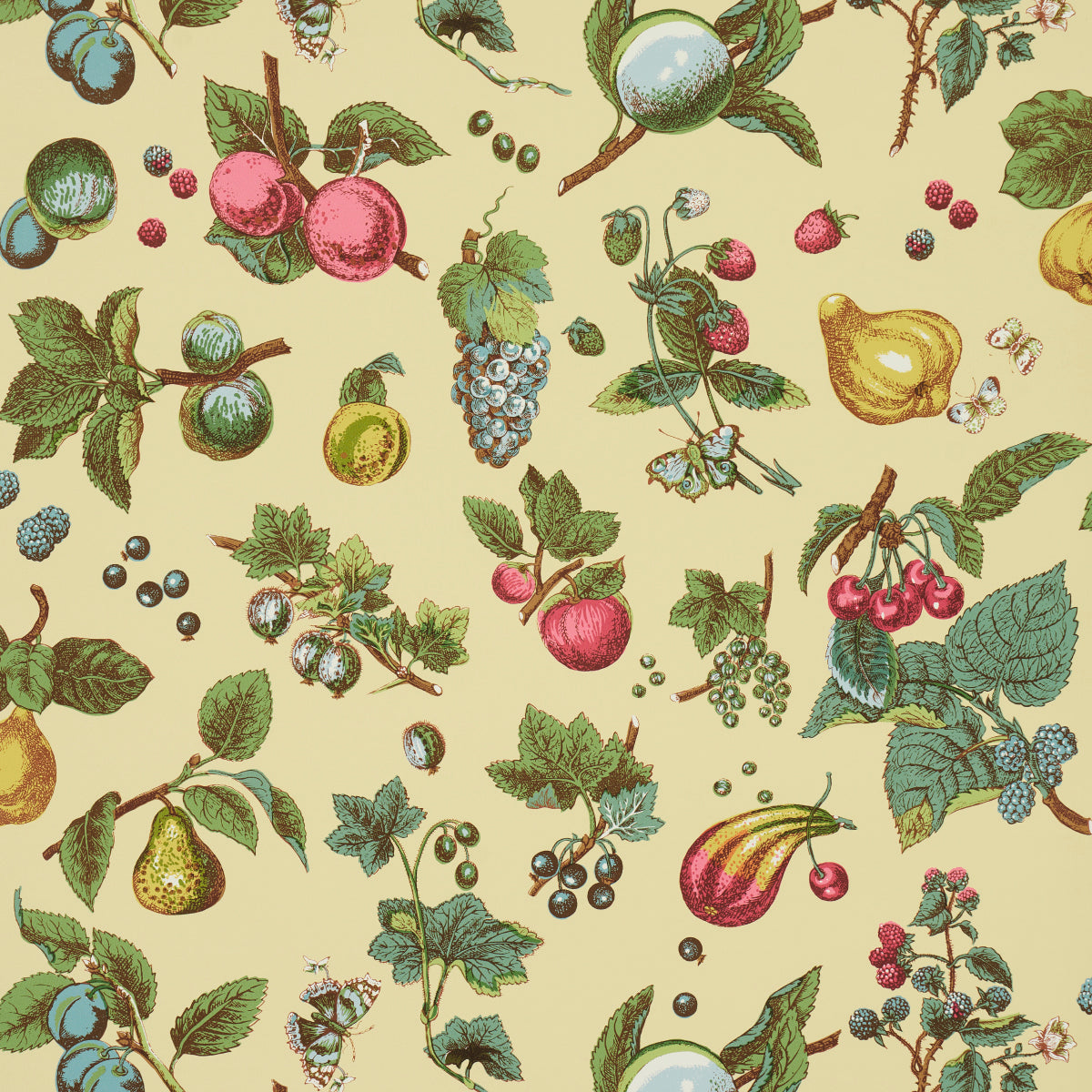 Purchase 5015650 | Berry Grove, Butter - Schumacher Wallpaper