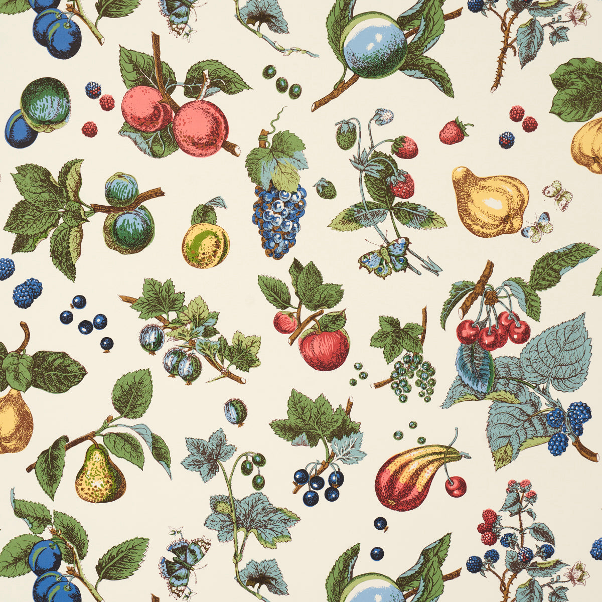 Purchase 5015652 | Berry Grove, Ivory - Schumacher Wallpaper
