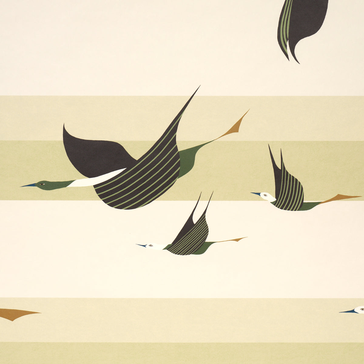 Purchase 5015853 | Flying West, Green - Schumacher Wallpaper