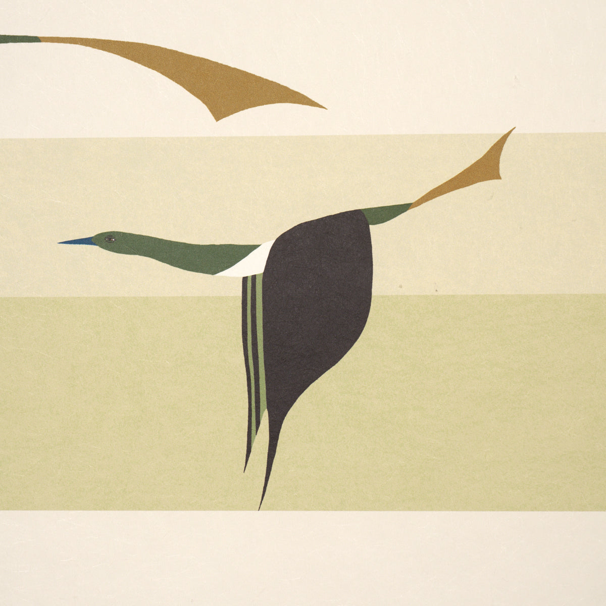 Purchase 5015853 | Flying West, Green - Schumacher Wallpaper