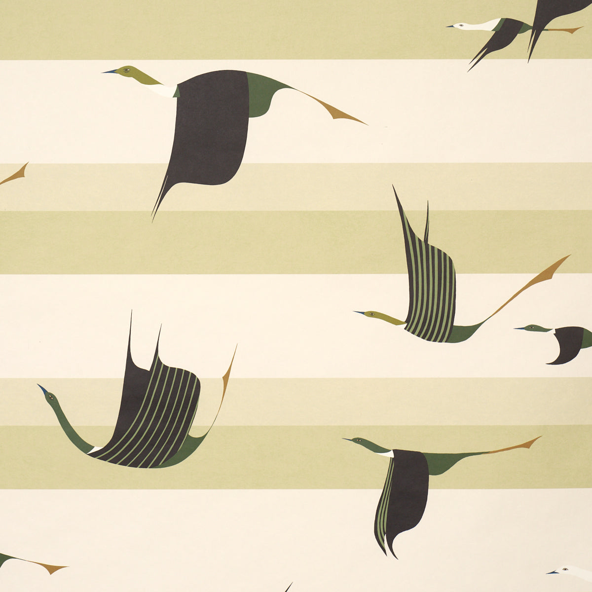 Purchase 5015853 | Flying West, Green - Schumacher Wallpaper