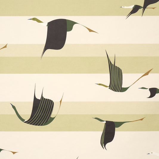 Purchase 5015853 | Flying West, Green - Schumacher Wallpaper