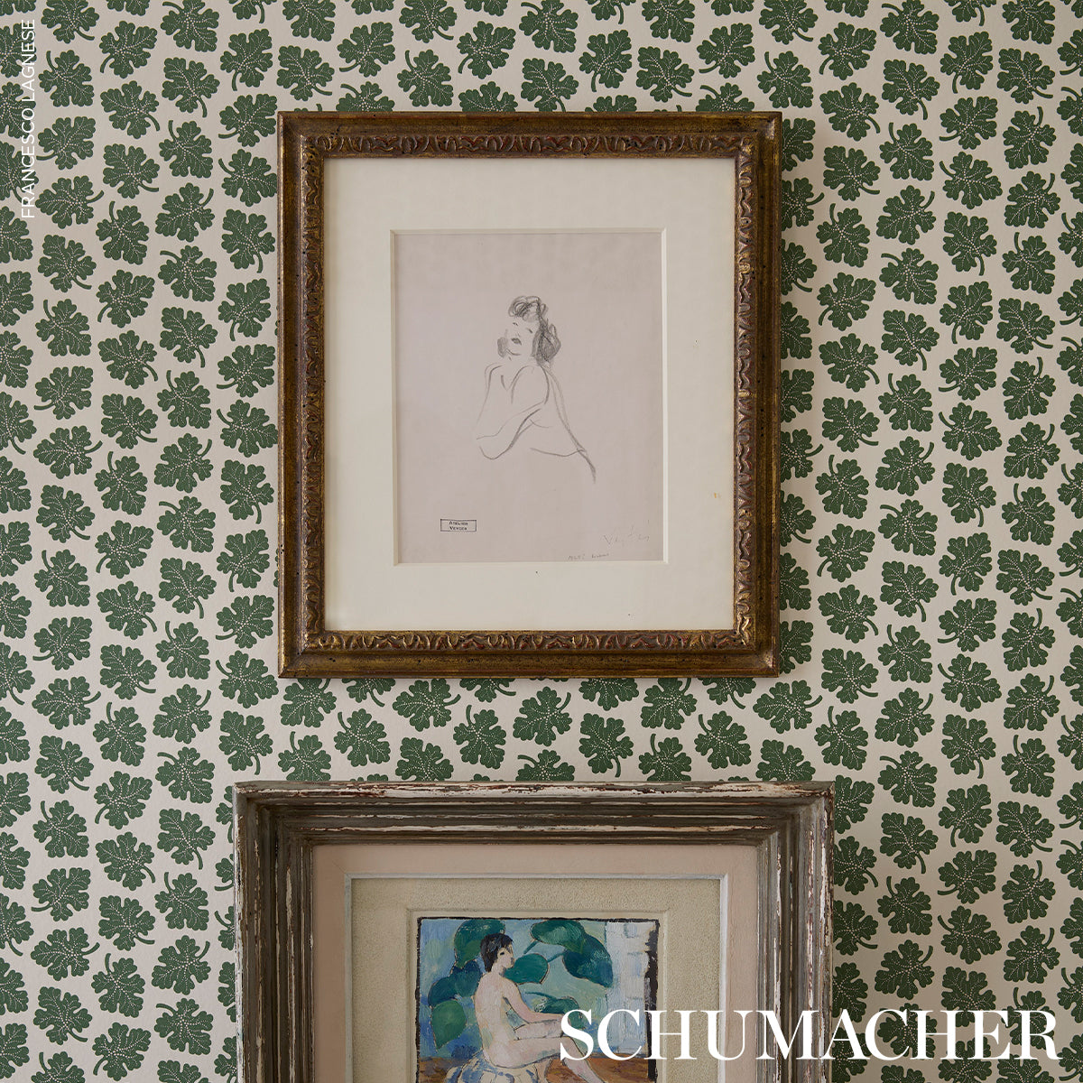 Purchase 5015920 | Olive, Green - Schumacher Wallpaper