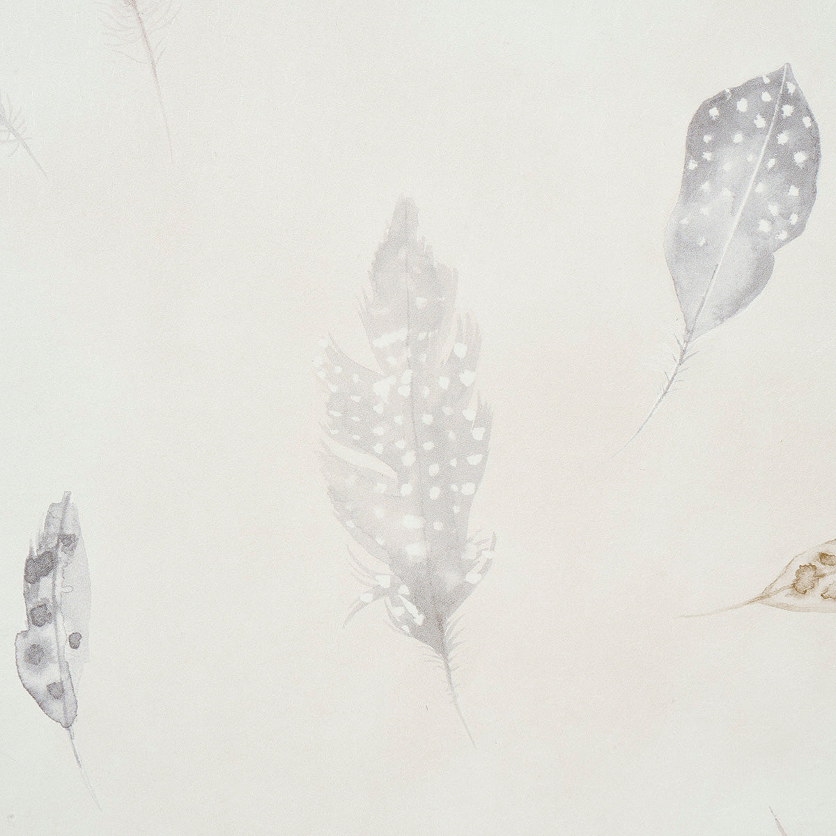 Purchase 5016060 | Woodland Feathers, Pebble - Schumacher Wallpaper