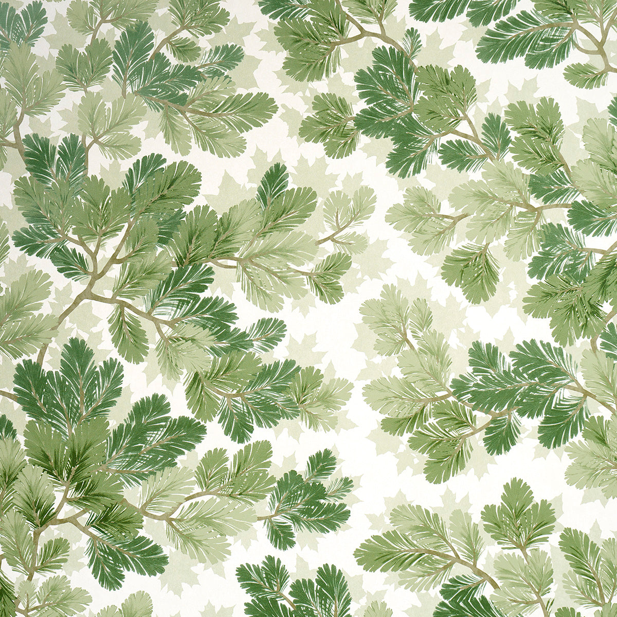 Purchase 5016072 | Covey Hedge, Sage - Schumacher Wallpaper