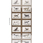 Purchase 5016081 | Chaser’S Legacy, Bark - Schumacher Wallpaper