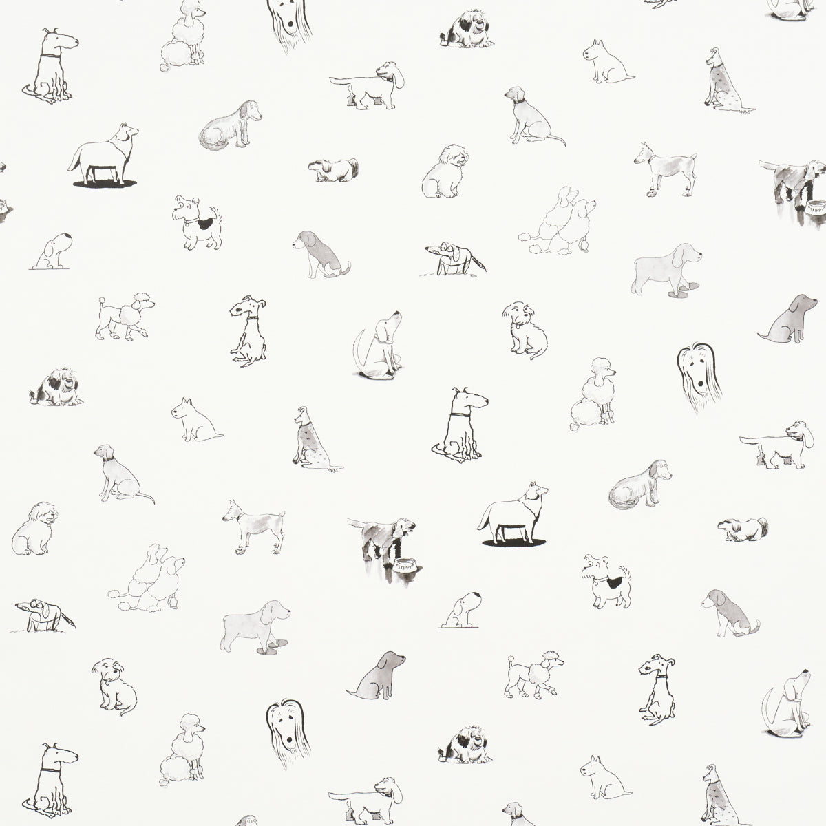 Purchase 5016130 | Good Dogs Everywhere, Black & White - Schumacher Wallpaper