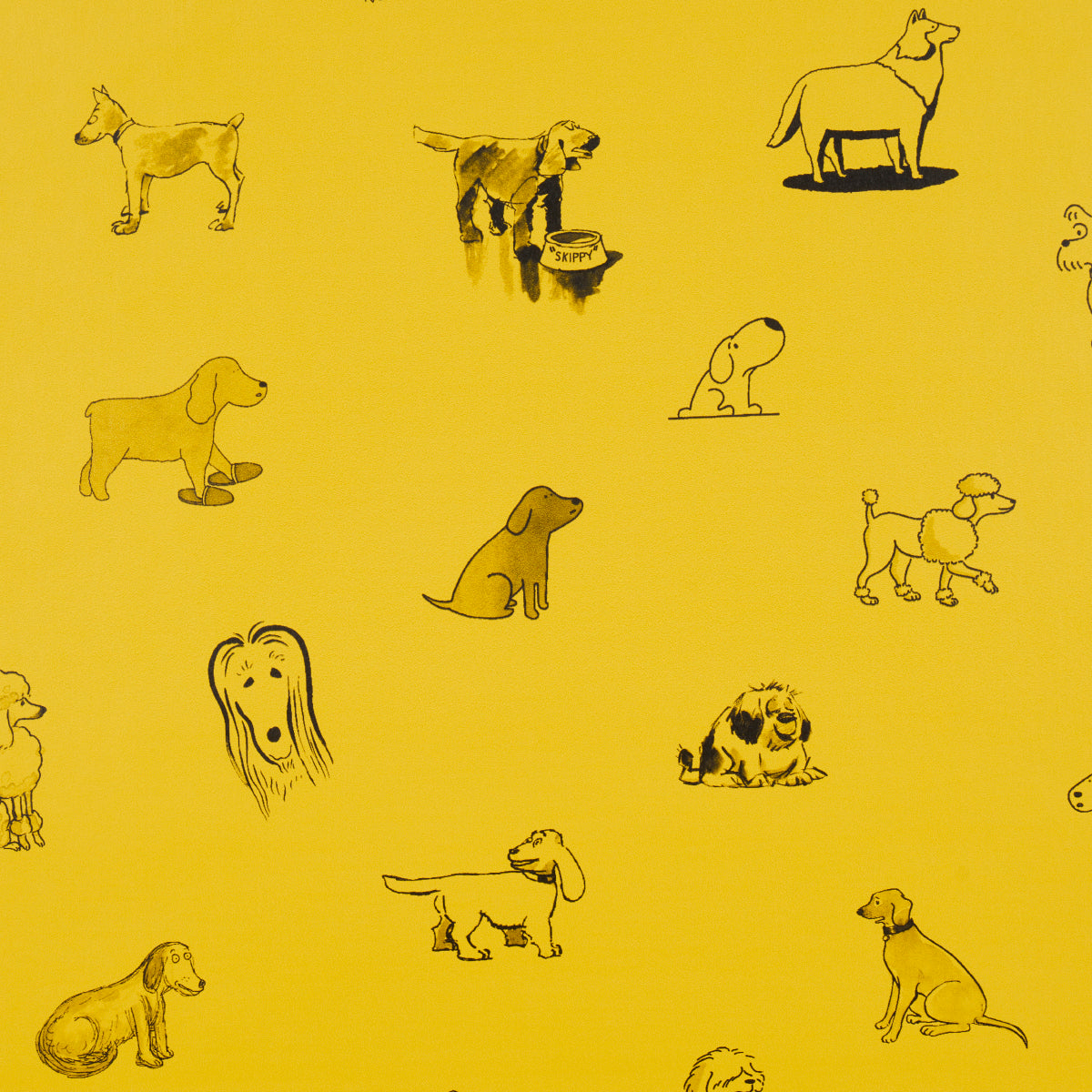 Purchase 5016131 | Good Dogs Everywhere, Taxi-Cab Yellow - Schumacher Wallpaper