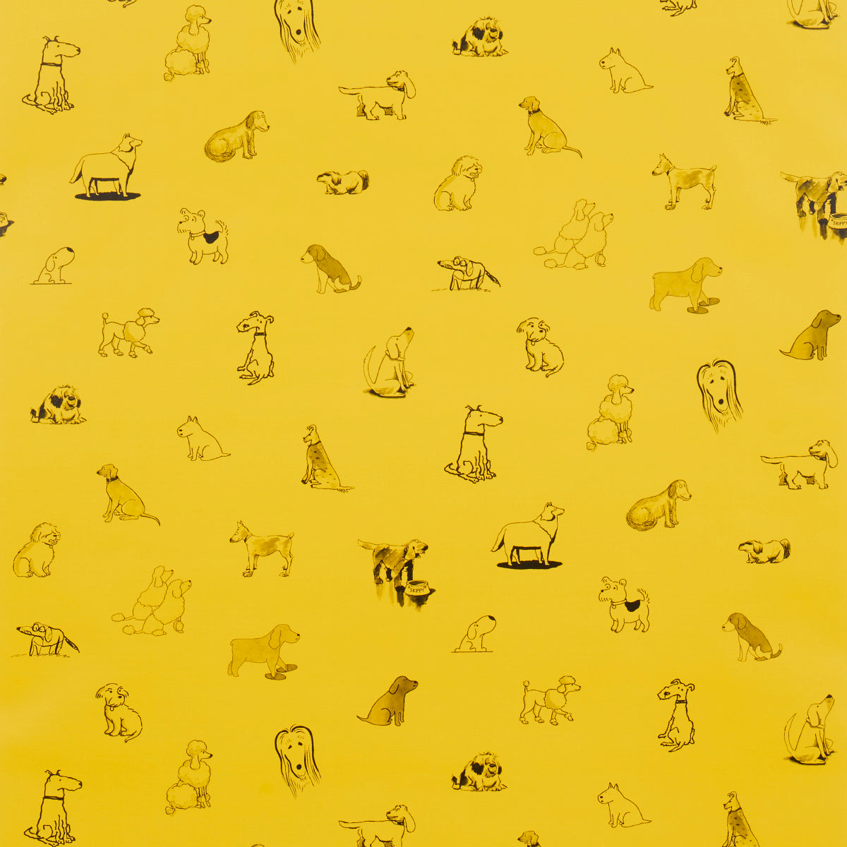 Purchase 5016131 | Good Dogs Everywhere, Taxi-Cab Yellow - Schumacher Wallpaper