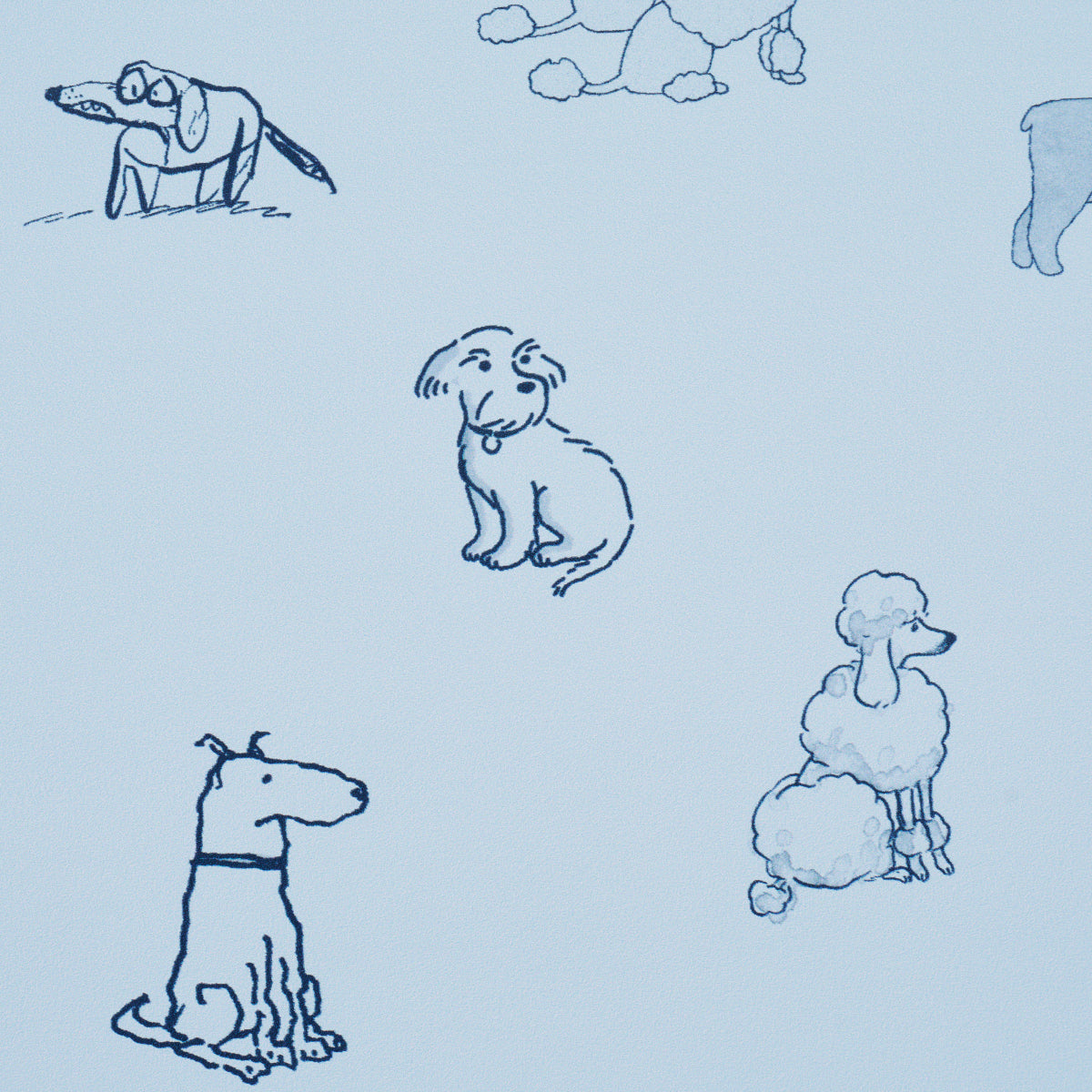 Purchase 5016132 | Good Dogs Everywhere, Sky & Navy Blue - Schumacher Wallpaper