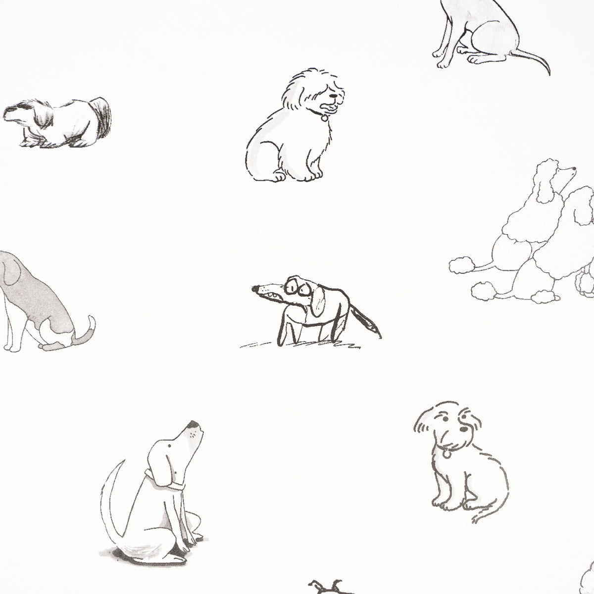 Purchase 5016300 | Good Dogs Everywhere, Black & White - Schumacher Wallpaper