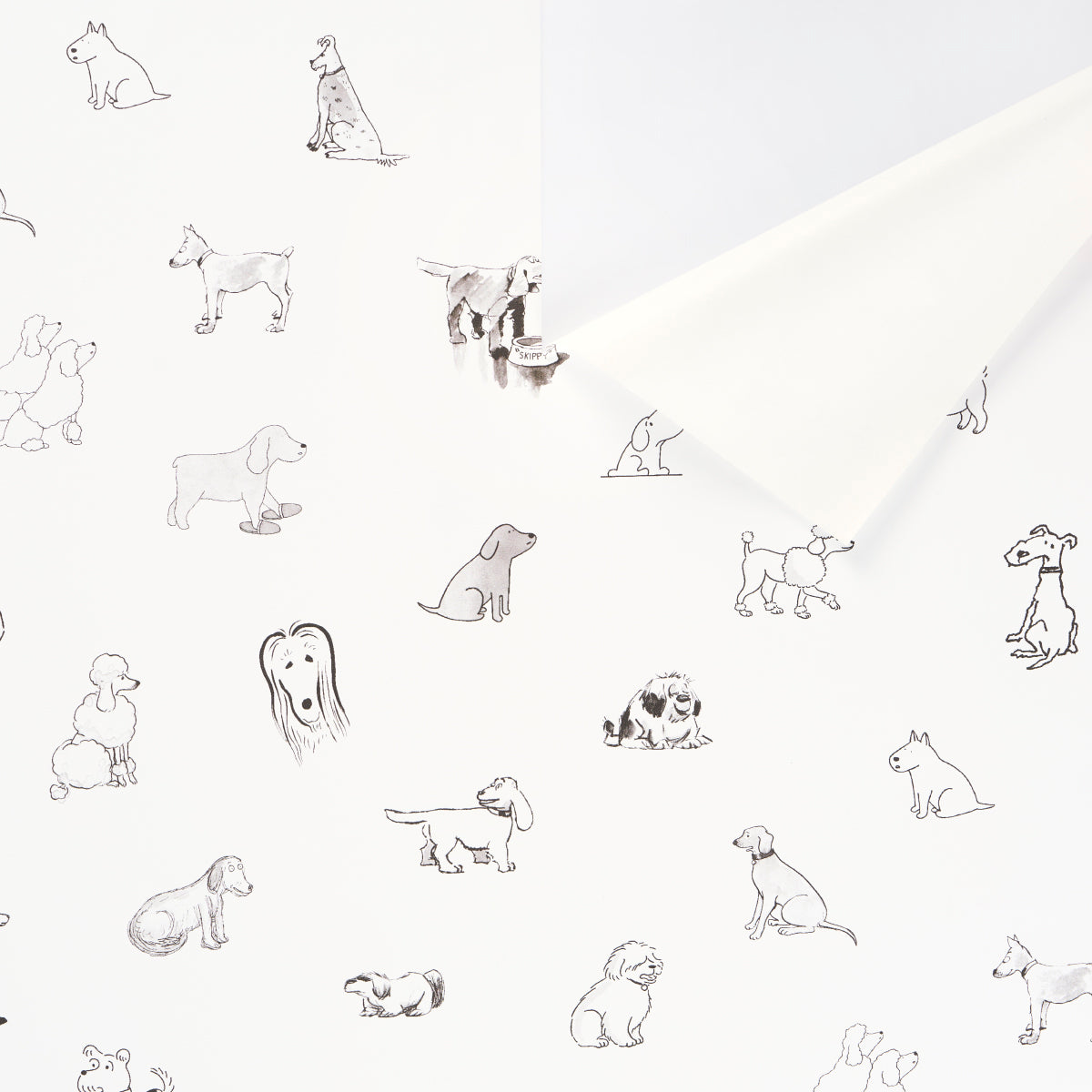 Purchase 5016300 | Good Dogs Everywhere, Black & White - Schumacher Wallpaper