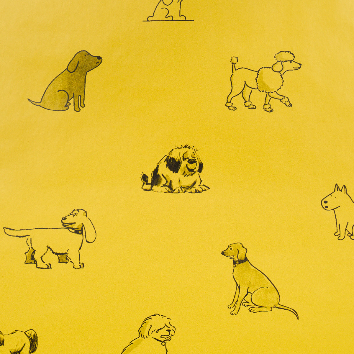 Purchase 5016301 | Good Dogs Everywhere, Taxi-Cab Yellow - Schumacher Wallpaper