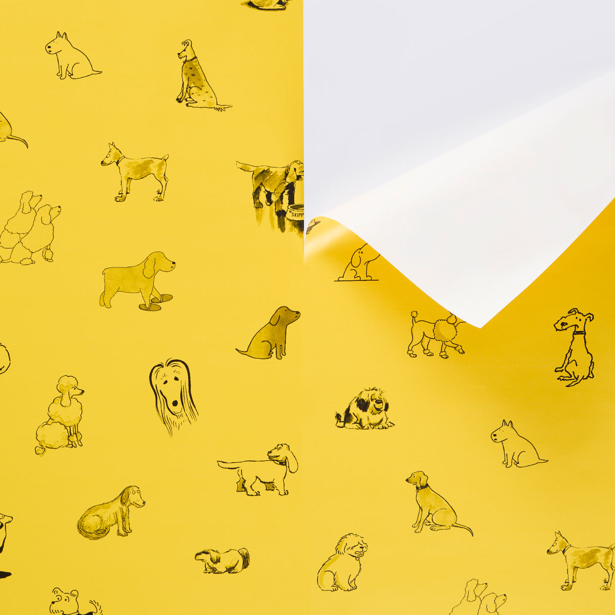 Purchase 5016301 | Good Dogs Everywhere, Taxi-Cab Yellow - Schumacher Wallpaper