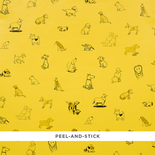 Purchase 5016301 | Good Dogs Everywhere, Taxi-Cab Yellow - Schumacher Wallpaper